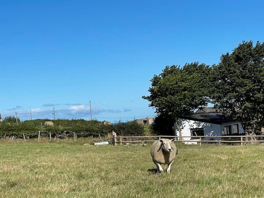 Tranquil, Secluded, Rural Cottage For Two Beaumaris Exterior foto